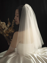 將圖片載入圖庫檢視器，Wedding Bridal Veil (Champagne) - WeddingConfetti